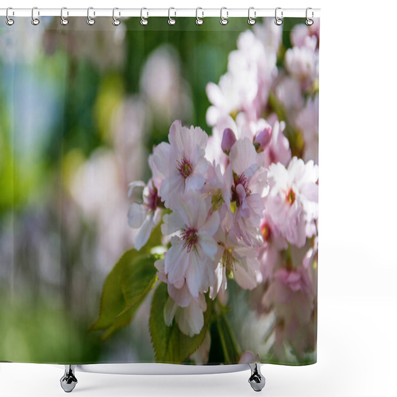 Personality  Selective Focus Of Cherry Blossom Flowers On Blurred Background  Shower Curtains