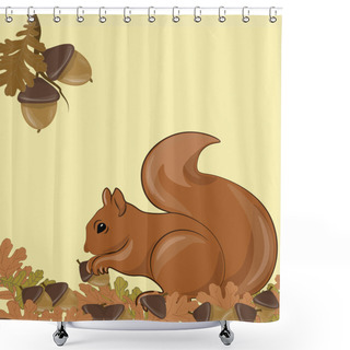 Personality  Squirrel In Forrest On Autumn Background Shower Curtains
