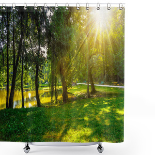 Personality  Trees Near A Pond In City Park At Sunset Shower Curtains