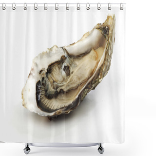 Personality  Oyster On White Shower Curtains