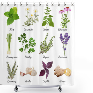 Personality  Spices And Meadow Flowers Herbal Set Shower Curtains