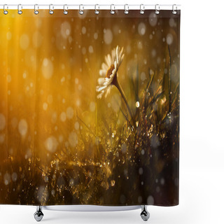 Personality  Beautiful Wild Flower In The Forest After Rain And Sunset Shower Curtains