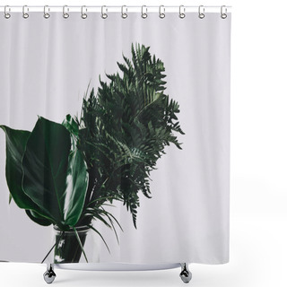 Personality  Bunch Of Various Green Leaves In Glass Vase Isolated On White Shower Curtains