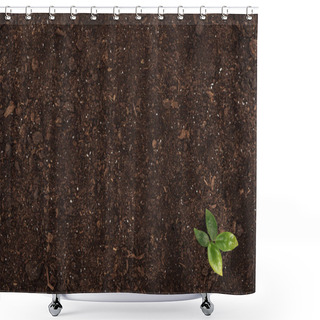 Personality  Top View Of Small Plant With Green Leaves, Protecting Nature Concept  Shower Curtains