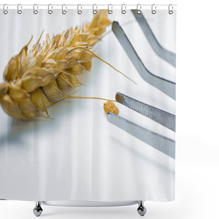 Personality  Professional Scientist Examining Ear Of Wheat Shower Curtains