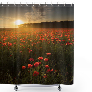 Personality  Beautiful Red Field Landscape Full Of Opium Poppy During Sunrise. Shower Curtains