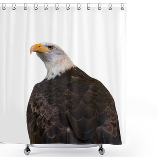 Personality  Bald Eagle Isolated On White Background. Clipping Path Included Shower Curtains