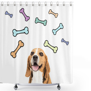 Personality  Cute Beagle Dog Shower Curtains