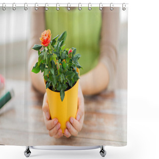 Personality  Close Up Of Woman Hands Holding Roses Bush In Pot Shower Curtains