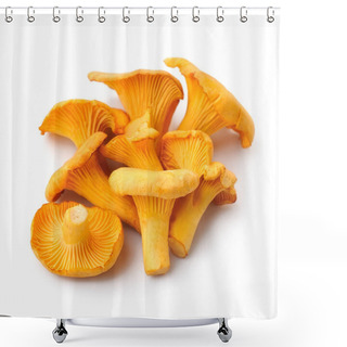 Personality  Chanterelle Mushrooms. Shower Curtains