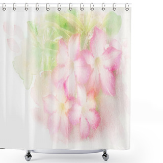 Personality  Flower (Desert Rose, Impala Lily, Mock Azalea) Watercolor Illustration. Shower Curtains