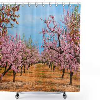 Personality  Almond Blossoms Shower Curtains