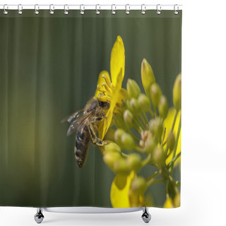 Personality  Honeybee - Canola Flower Shower Curtains