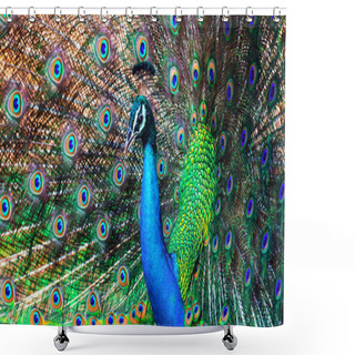 Personality  Peacock Shower Curtains