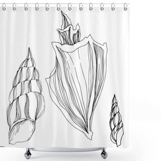 Personality  Vector Summer Beach Seashell Tropical Elements. Black And White  Shower Curtains