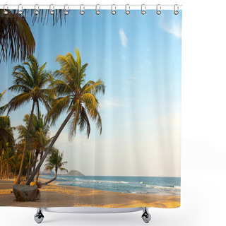 Personality  Exotic, Lonely Beach With Palm Trees And Ocean Shower Curtains