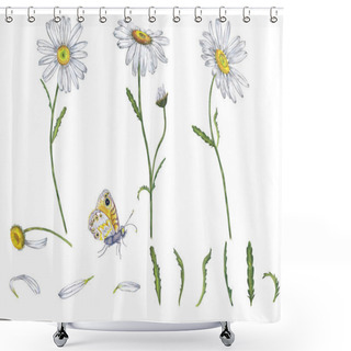 Personality  Big Set Of Realistic White Garden Chamomile And Butterfly. Colorful Summer Bloom Flowers On Stems, Buds, Petals, Leaves. Watercolor Hand Painted Isolated Elements On White Background. Shower Curtains