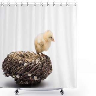Personality  Cute Small Chick In Nest On White Background Shower Curtains