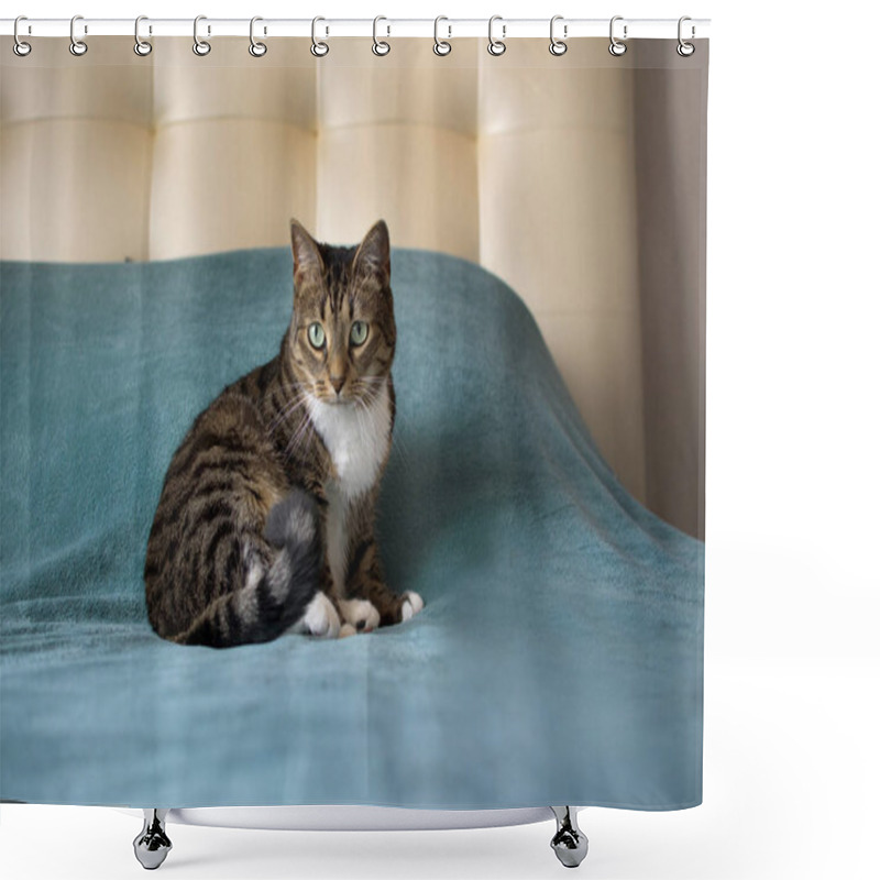 Personality  Cute Cat Lying On The Bed Shower Curtains