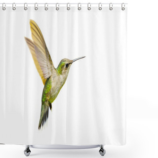 Personality  Ruby Throated Hummingbird. Shower Curtains