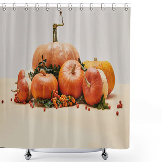 Personality  Seasonal Decoration With Pumpkins And Firethorn Berries On Table Shower Curtains