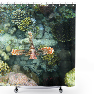 Personality  Coral Reef And Red Lionfish Shower Curtains