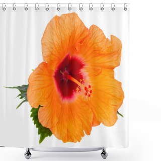 Personality  Orange  Hibiscus Flower Shower Curtains