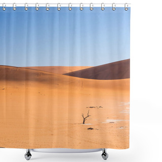 Personality  Dead Camelthorn Tree In Dead Vlei Shower Curtains