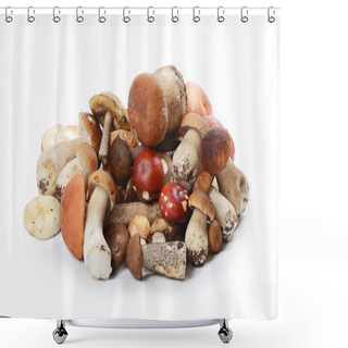 Personality  The Boletus Edulis Shower Curtains