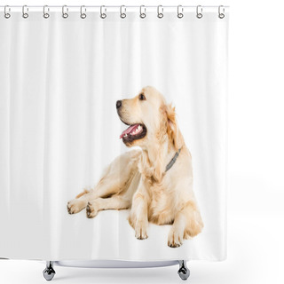 Personality  Golden Retriever Dog   Shower Curtains