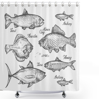 Personality  Hand Drawn Fish. Sketch Trout, Carp, Tuna, Herring, Flounder, Anchovy. Vector Illustration Shower Curtains