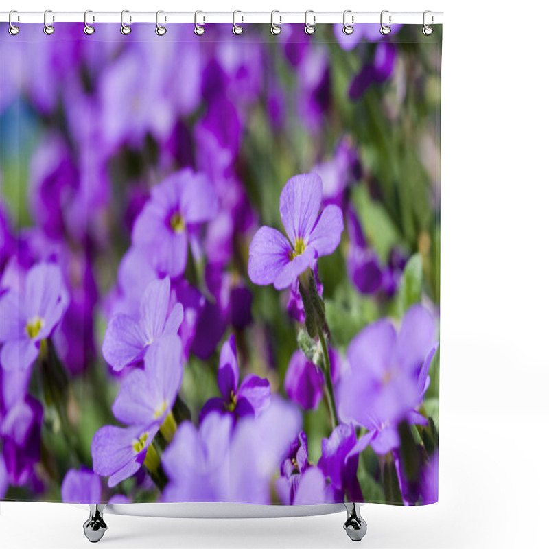 Personality  Violet Flower Shower Curtains