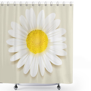 Personality  Beautiful Daisy Flower. Shower Curtains