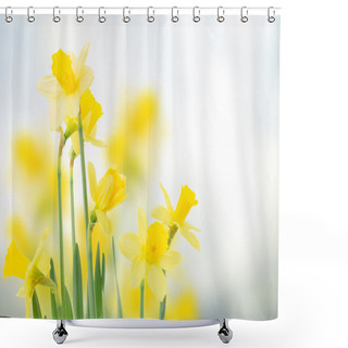 Personality  Spring Daffodils In  Garden Shower Curtains