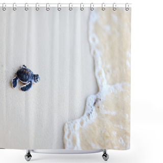Personality  Baby Green Turtle Shower Curtains