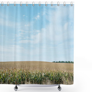 Personality  Autumnal Field With Corn And Blue Cloudy Sky Shower Curtains