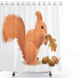 Personality  Squirrel With Acorns Shower Curtains