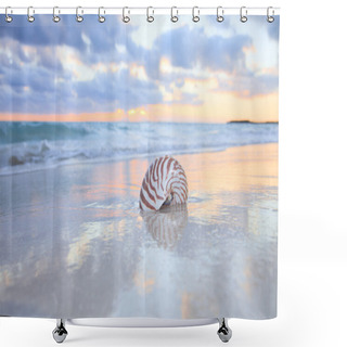 Personality  Nautilus Shell On Sea Beach , Sunrise. Shower Curtains