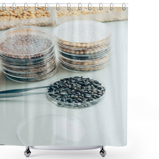 Personality  Close Up View Of Tweezers, Various Grains And Sunflower Seeds In Modern Agro Laboratory  Shower Curtains