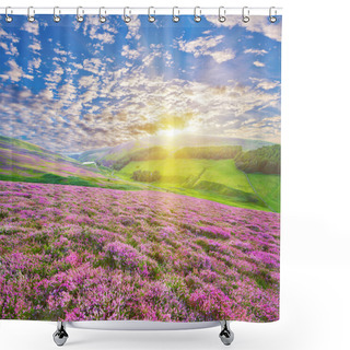 Personality  Colorful Hill Slope Covered By Violet Heather Flowers Shower Curtains