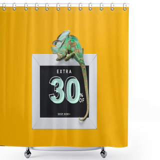 Personality  Green Chameleon On Blackboard With 30 Percents Extra Sale Isolated On Yellow Shower Curtains