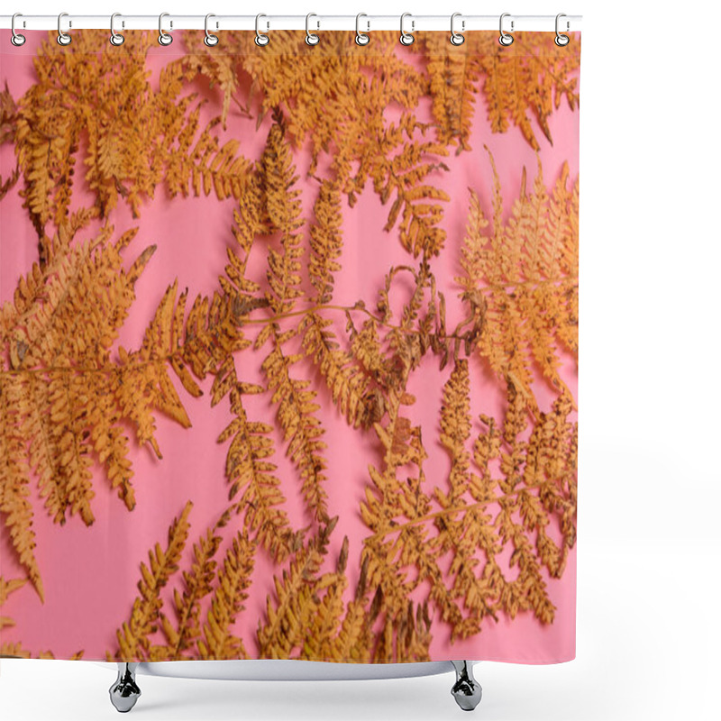 Personality  Autumn fern leaves isolated on pink background. Horizontal orienattion. Minimalistic style. shower curtains