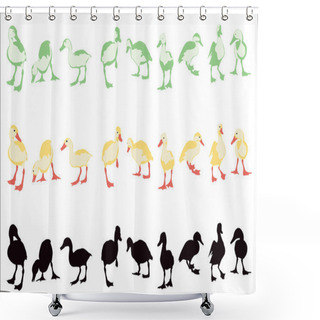 Personality  Ducklings Shower Curtains