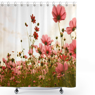 Personality  Cosmos Flowers In Sunset Shower Curtains