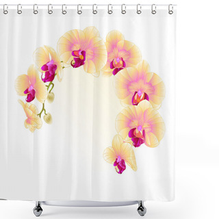 Personality  Frame Beautiful  Orchid Yellow Stem With Flowers And  Buds Closeup Isolated Vintage  Vector Editable Illustration Shower Curtains