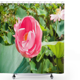 Personality  Valley Of Lotuses Shower Curtains