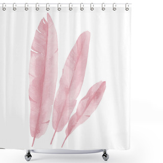 Personality  Blush Pink Leaves. Beauty Banana Leaves. Watercolor Illustration Isolated On White Background.  Shower Curtains