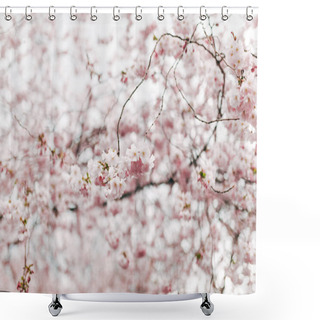 Personality  Selective Focus Of Beautiful Cherry Tree Blossom Shower Curtains