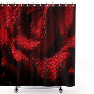 Personality  Red Rose With Dew On A Black Background Shower Curtains