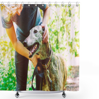 Personality  Man With His Greyhound In The Woods Shower Curtains